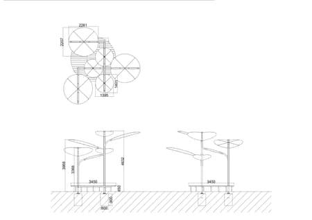 Structural Botany